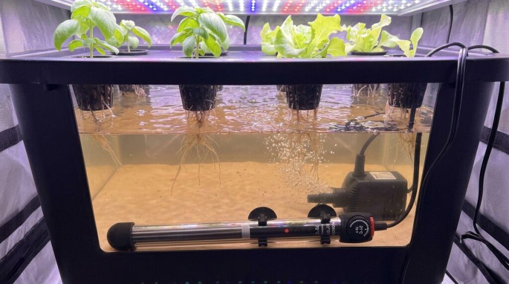 hydroponic-water-heater-inside-nutrient-reservoir